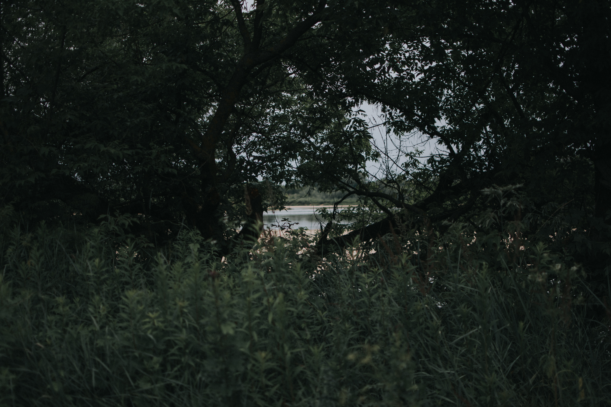 DSC 1914 Paula i Adam - sesja we dwoje