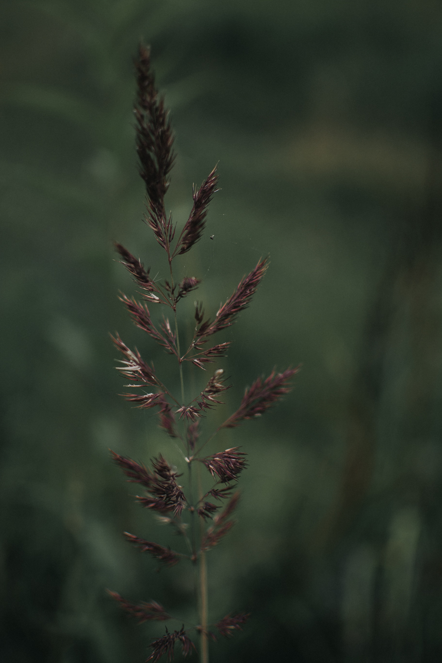 DSC 2023 Paula i Adam - sesja we dwoje