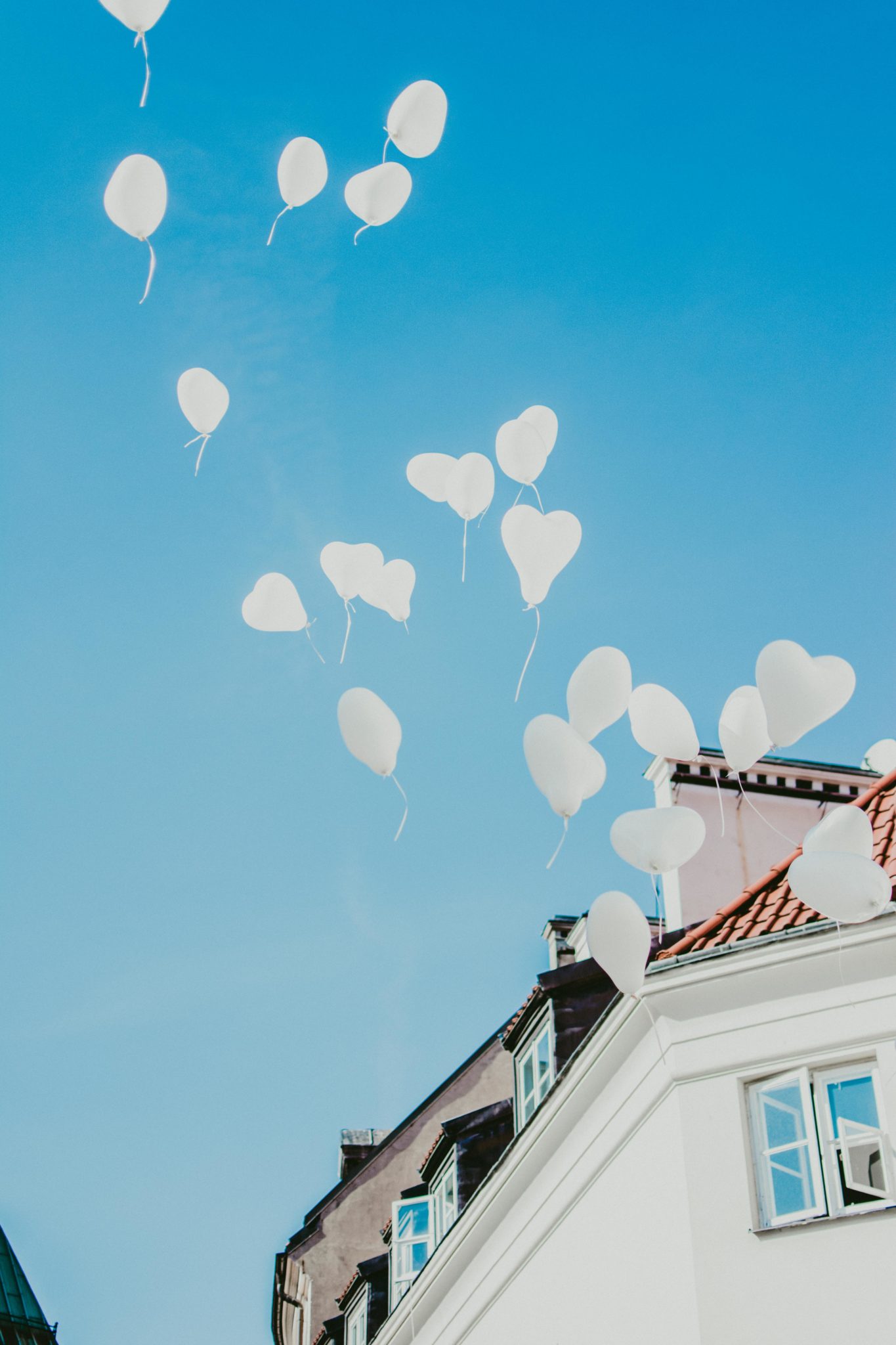 DSC 5771 Małgosia i Siemowit - ślub cywilny na warszawskiej Starówce