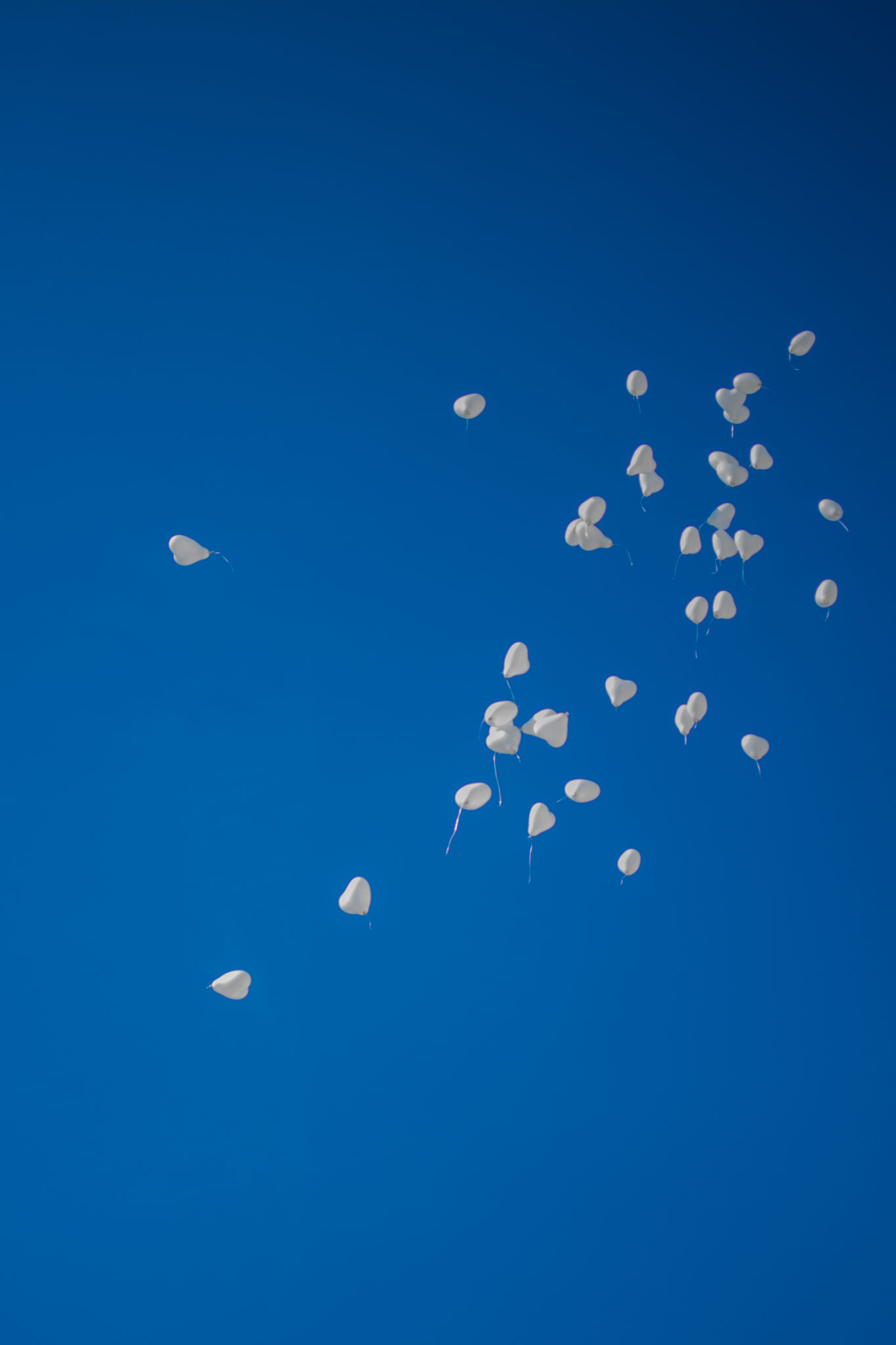 DSC 5776 Małgosia i Siemowit - ślub cywilny na warszawskiej Starówce