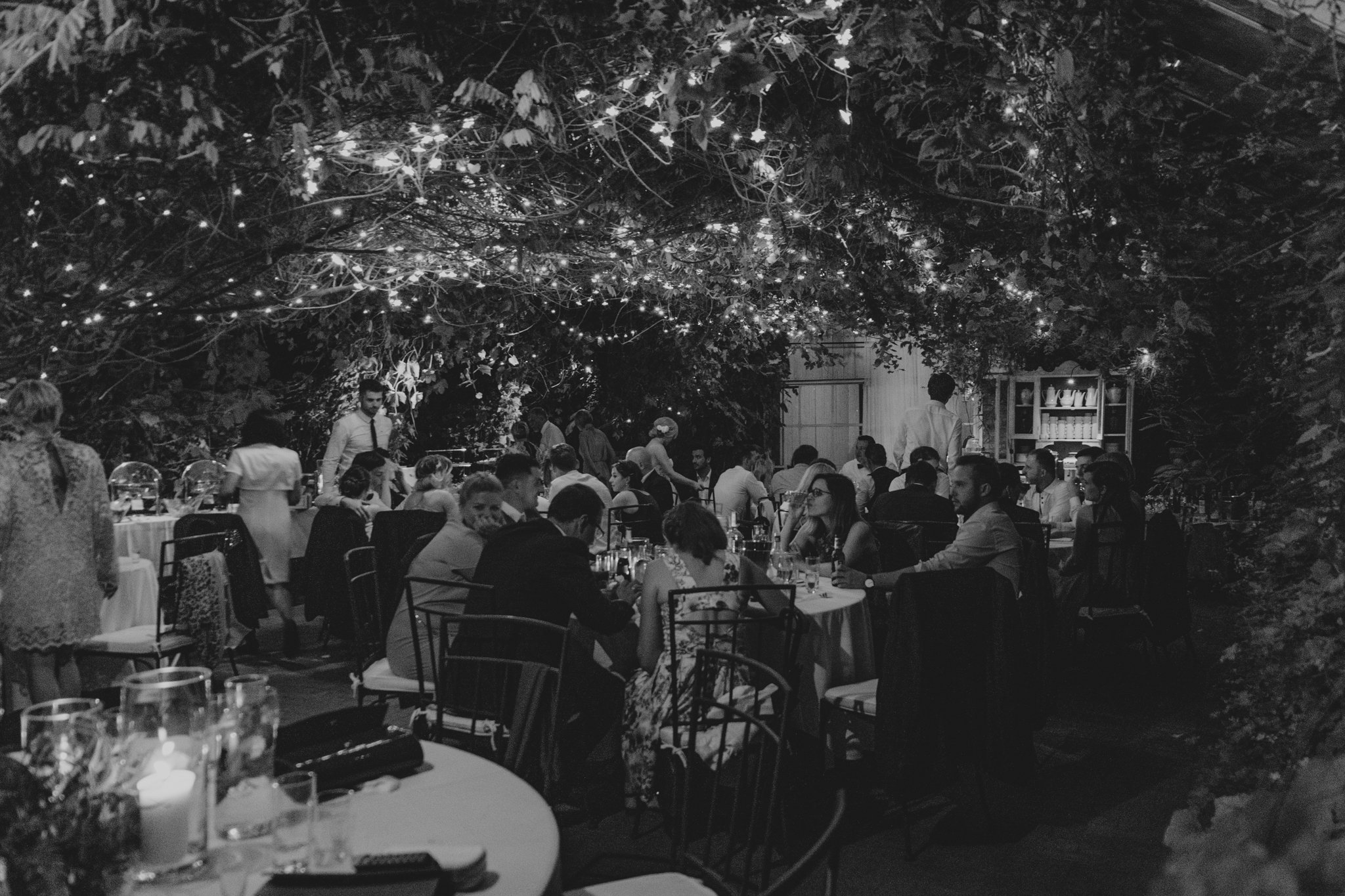 DSC 7131 Agata i Tomasz - Rustykalne wesele w Starej Oranżerii