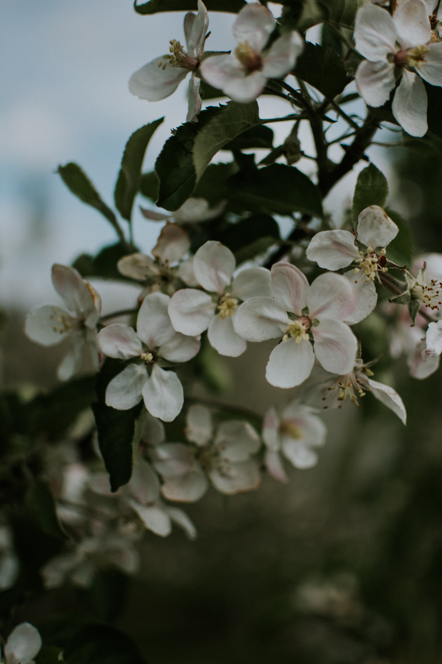 DSC 9571 Marta i Paweł - sesja rodzinna