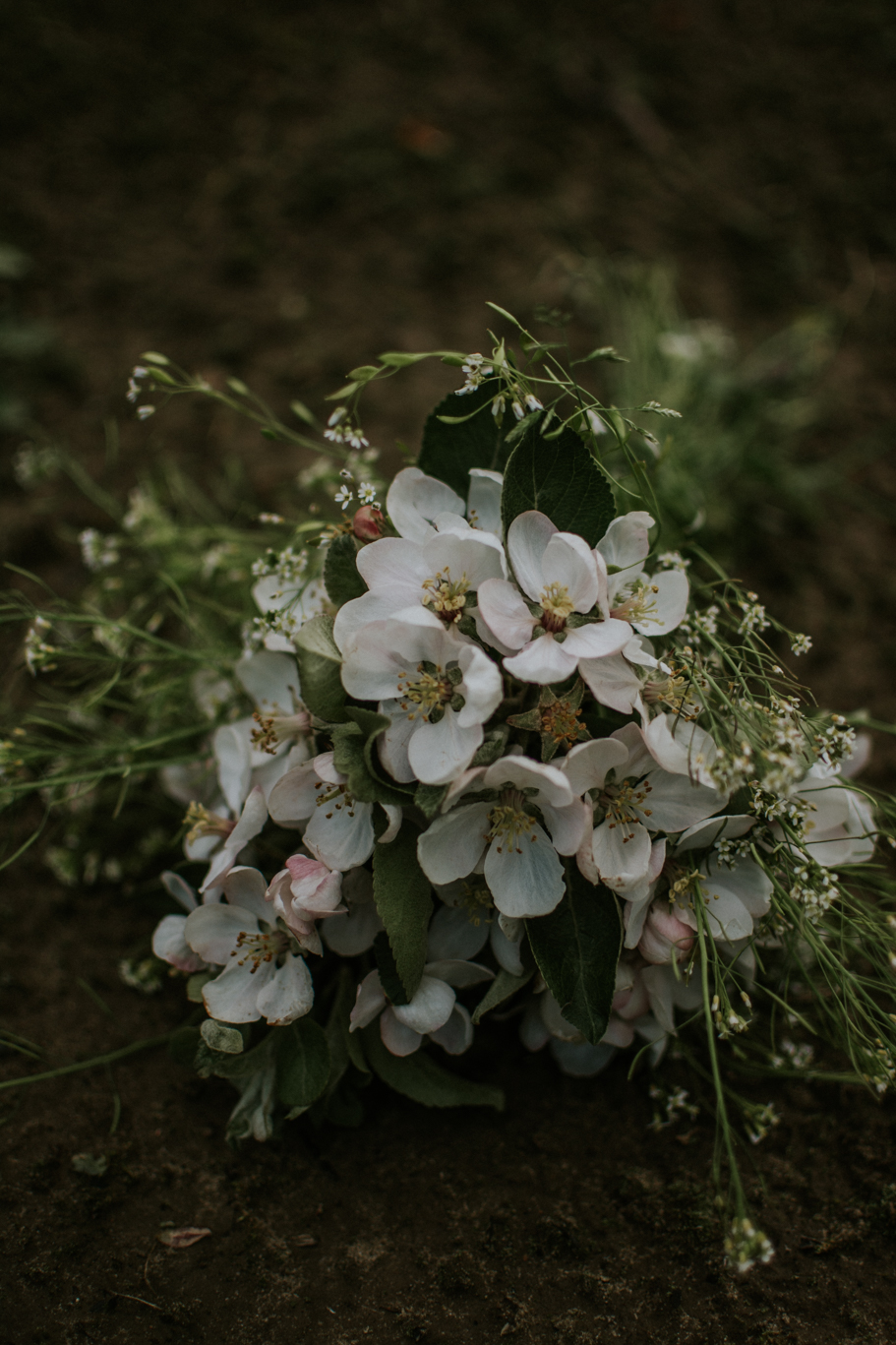 DSC 9996 Marta i Paweł - sesja rodzinna
