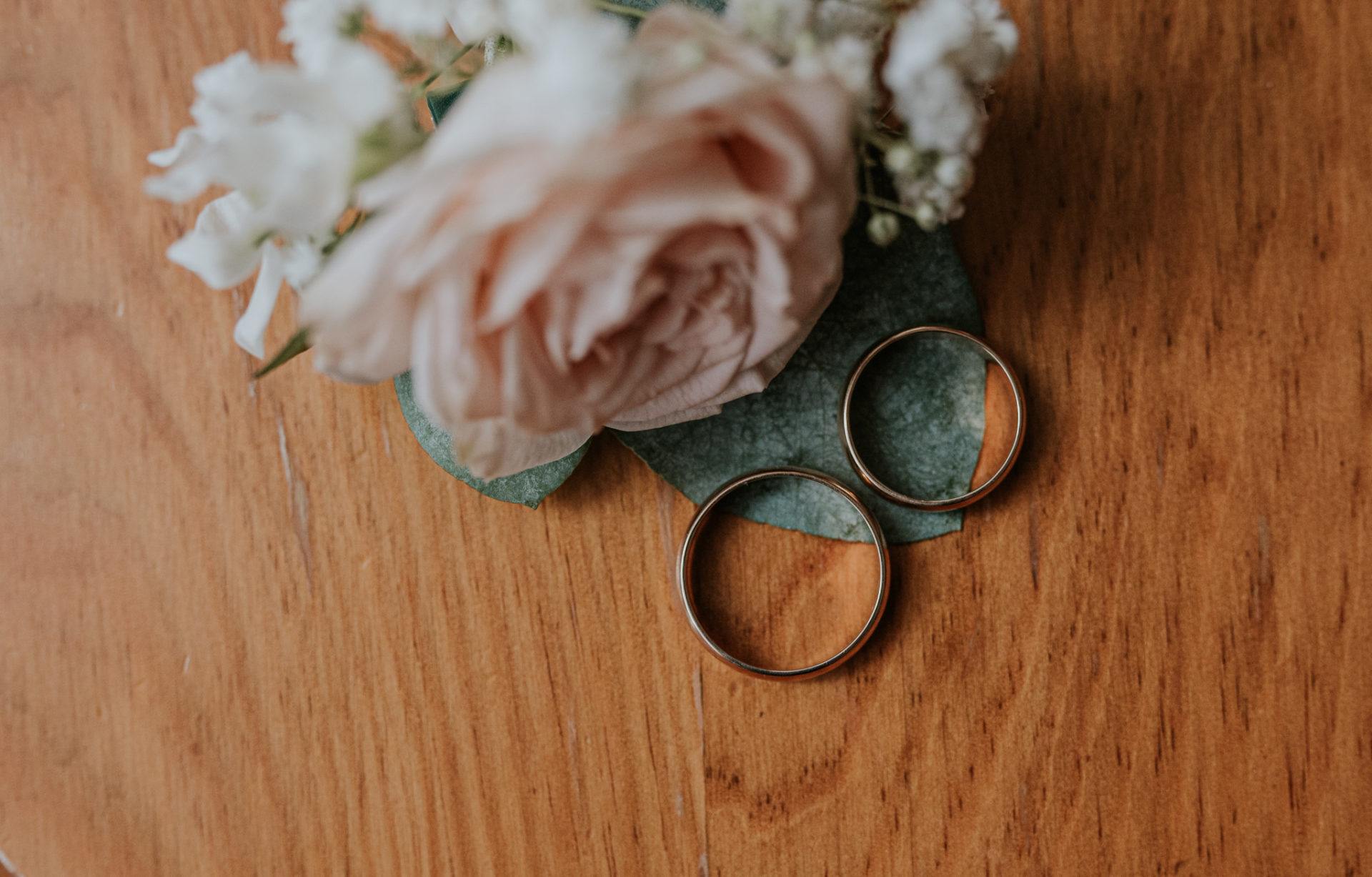 SAW 3695 Paulina i Paweł - Zacisze Anny Korcz