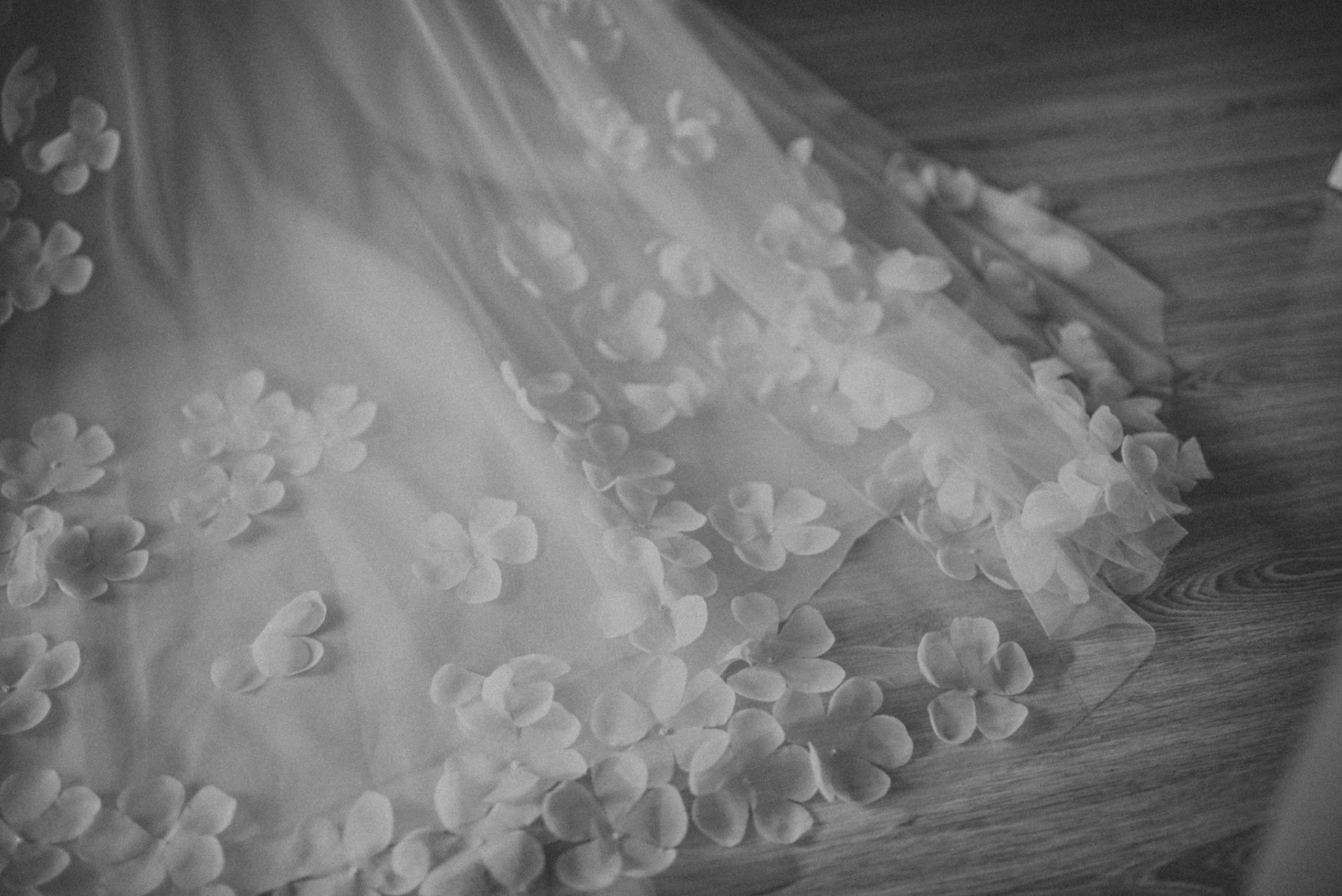 SAW 3821 Paulina i Paweł - Zacisze Anny Korcz